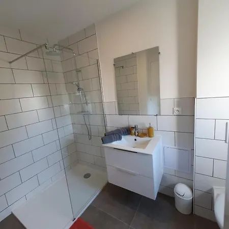 Appartement Appart'hotel, Ikimo 5 Entiers A Votre Disposition Au Choix Nancy