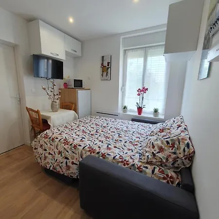 Appart'hotel, Ikimo 5 Entiers A Votre Disposition Au Choix * נאנסי