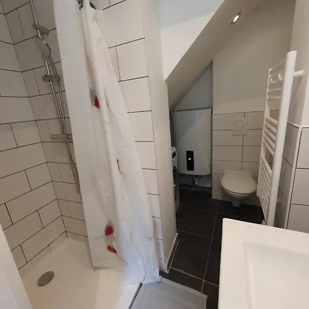 Appart'hotel, Ikimo 5 Entiers A Votre Disposition Au Choix נאנסי