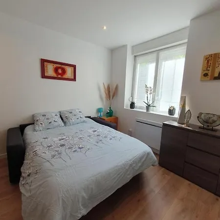 Appart'hotel, Ikimo 5 Entiers A Votre Disposition Au Choix Nancy