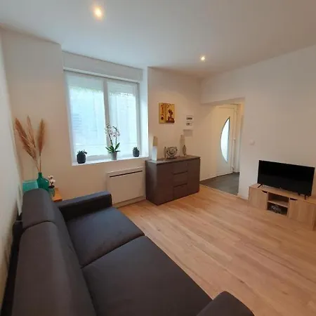 Appart'hotel, Ikimo 5 Entiers A Votre Disposition Au Choix Appartement Nancy