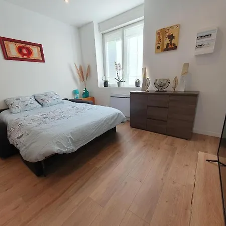 Appart'hotel, Ikimo 5 Entiers A Votre Disposition Au Choix * נאנסי