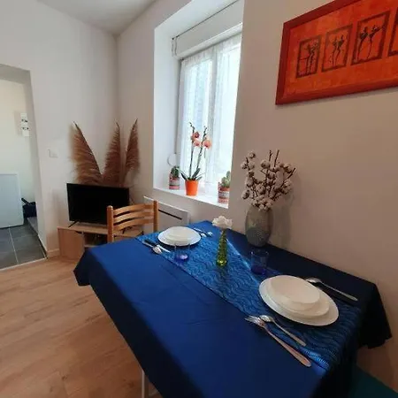 Appart'hotel, Ikimo 5 Entiers A Votre Disposition Au Choix * נאנסי