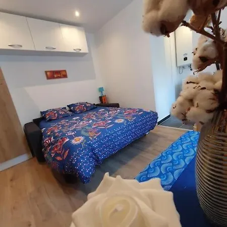 Appart'hotel, Ikimo 5 Entiers A Votre Disposition Au Choix Apartmán Nancy