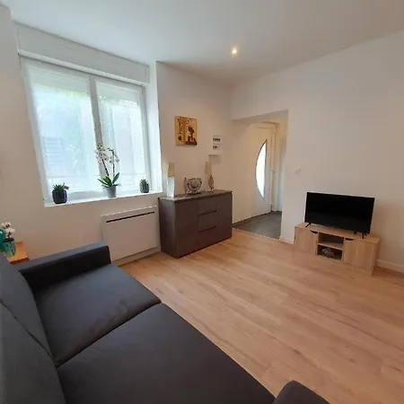 Appart'hotel, Ikimo 5 Entiers A Votre Disposition Au Choix נאנסי