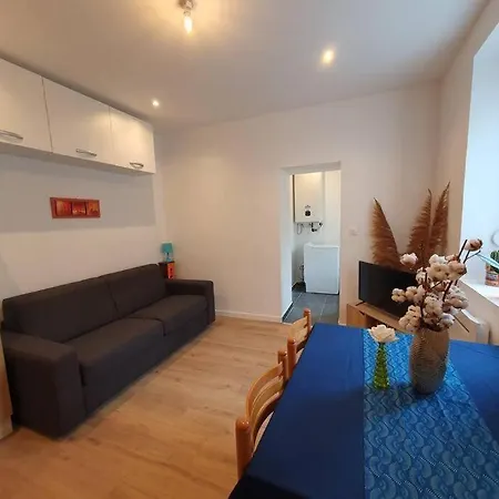 Appart'hotel, Ikimo 5 Entiers A Votre Disposition Au Choix * Nancy