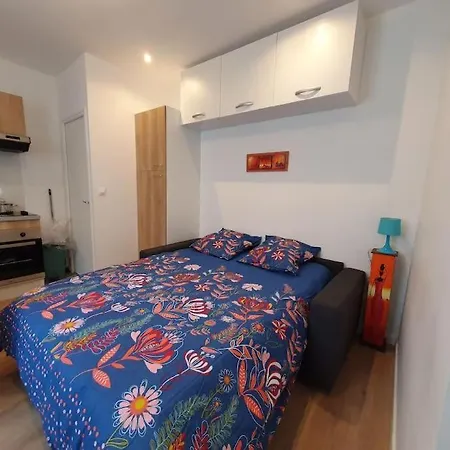 Appart'hotel, Ikimo 5 Entiers A Votre Disposition Au Choix דירה נאנסי