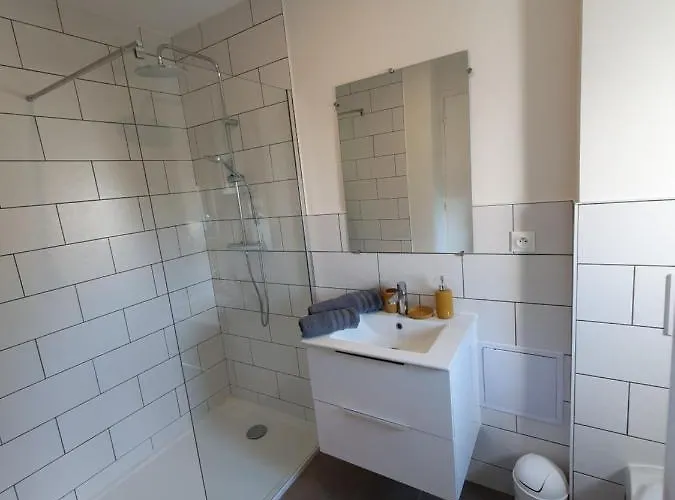 Appartement Appart'hotel, Ikimo 5 Entiers A Votre Disposition Au Choix Nancy