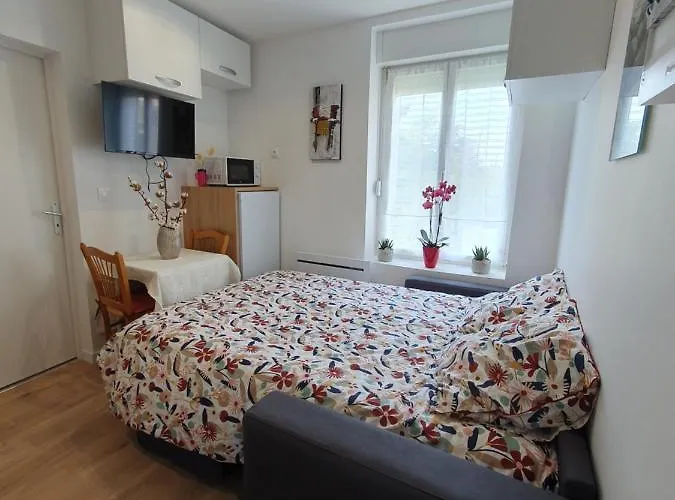 Appart'hotel, Ikimo 5 Entiers A Votre Disposition Au Choix * Nancy