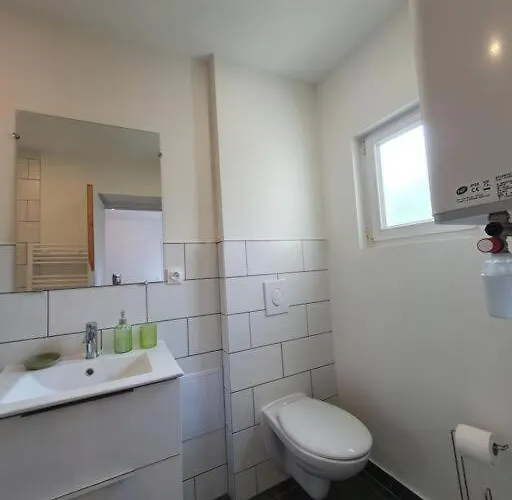 Appart'hotel, Ikimo 5 Entiers A Votre Disposition Au Choix * Nancy