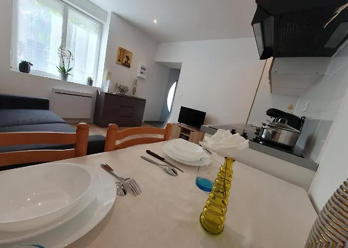 Appartement Appart'hotel, Ikimo 5 Entiers A Votre Disposition Au Choix Nancy