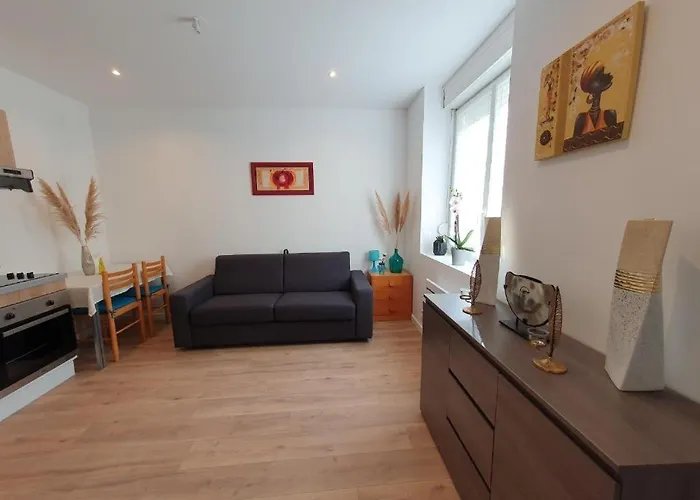 Appart'hotel, Ikimo 5 Entiers A Votre Disposition Au Choix * Nancy