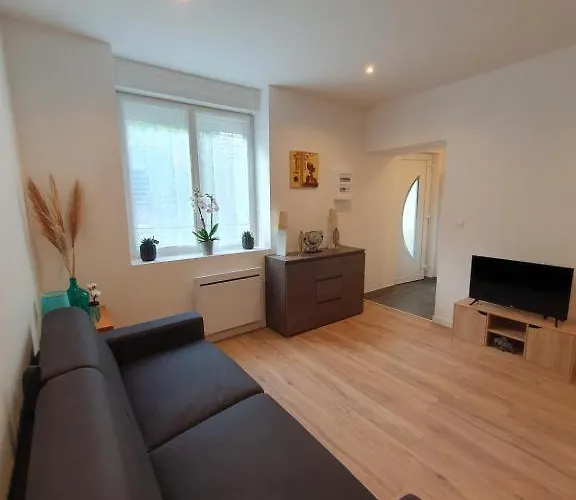 Appart'hotel, Ikimo 5 Entiers A Votre Disposition Au Choix Appartement Nancy