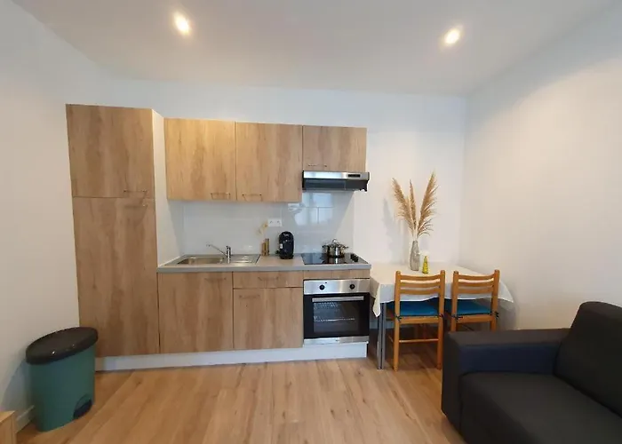 Appart'hotel, Ikimo 5 Entiers A Votre Disposition Au Choix Nancy