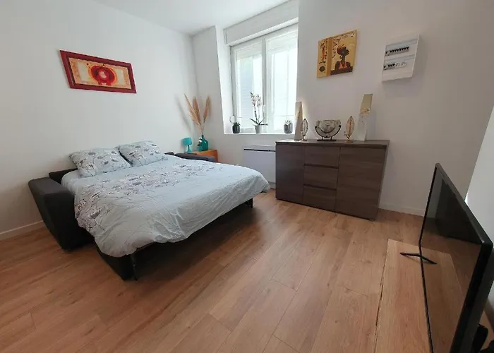 Appart'hotel, Ikimo 5 Entiers A Votre Disposition Au Choix * Nancy