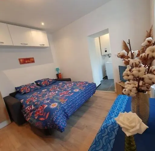 Appartement Appart'hotel, Ikimo 5 Entiers A Votre Disposition Au Choix *