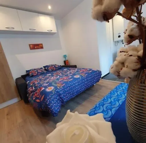 Appart'hotel, Ikimo 5 Entiers A Votre Disposition Au Choix Appartement Nancy