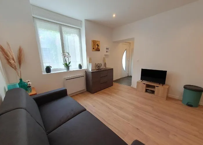 Appart'hotel, Ikimo 5 Entiers A Votre Disposition Au Choix Nancy