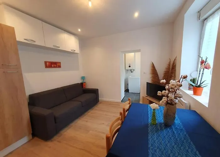 Appart'hotel, Ikimo 5 Entiers A Votre Disposition Au Choix * Nancy