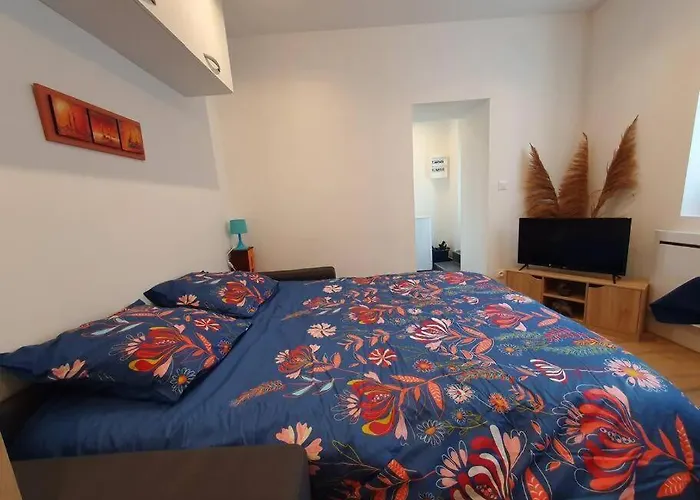 Appart'hotel, Ikimo 5 Entiers A Votre Disposition Au Choix Appartement