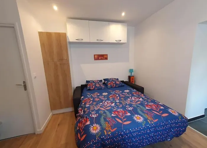 Appart'hotel, Ikimo 5 Entiers A Votre Disposition Au Choix Appartement Nancy