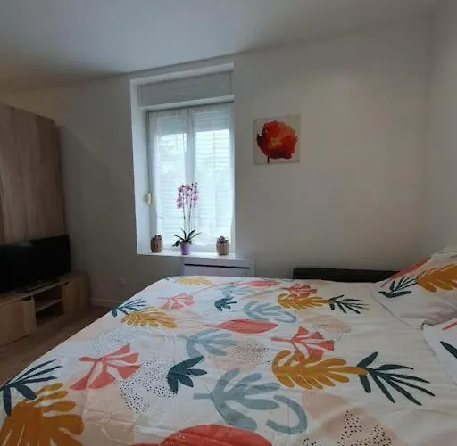 Appart'hotel, Ikimo 5 Entiers A Votre Disposition Au Choix Appartement