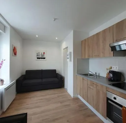 Appart'hotel, Ikimo 5 Entiers A Votre Disposition Au Choix * Nancy